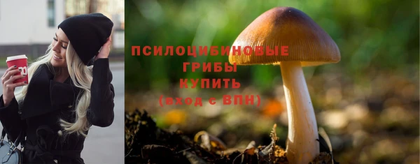 гидропоника Абаза