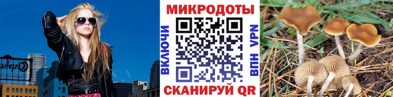Галлюциногенные грибы ЛСД  Черепаново 